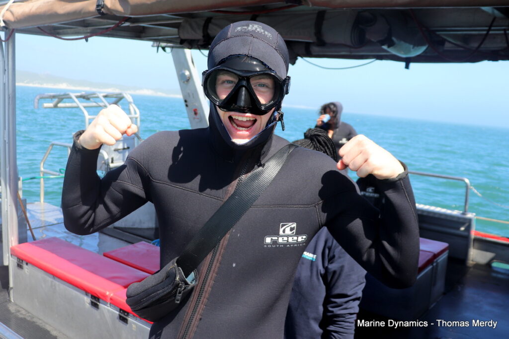 Shark cage diving, Gansbaai