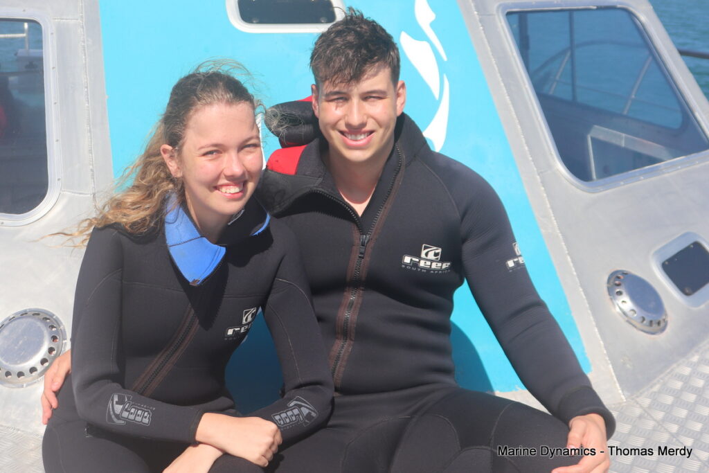 Shark cage diving, Gansbaai