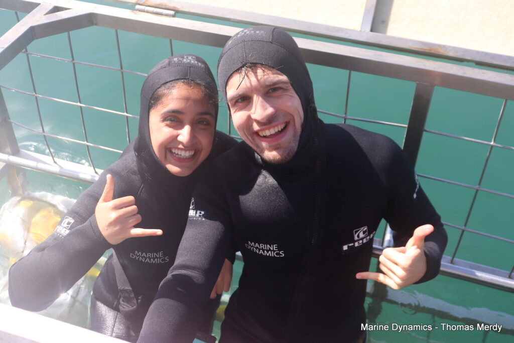 Shark cage diving, Gansbaai