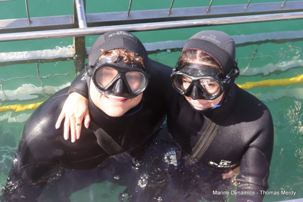 Shark cage diving, Gansbaai