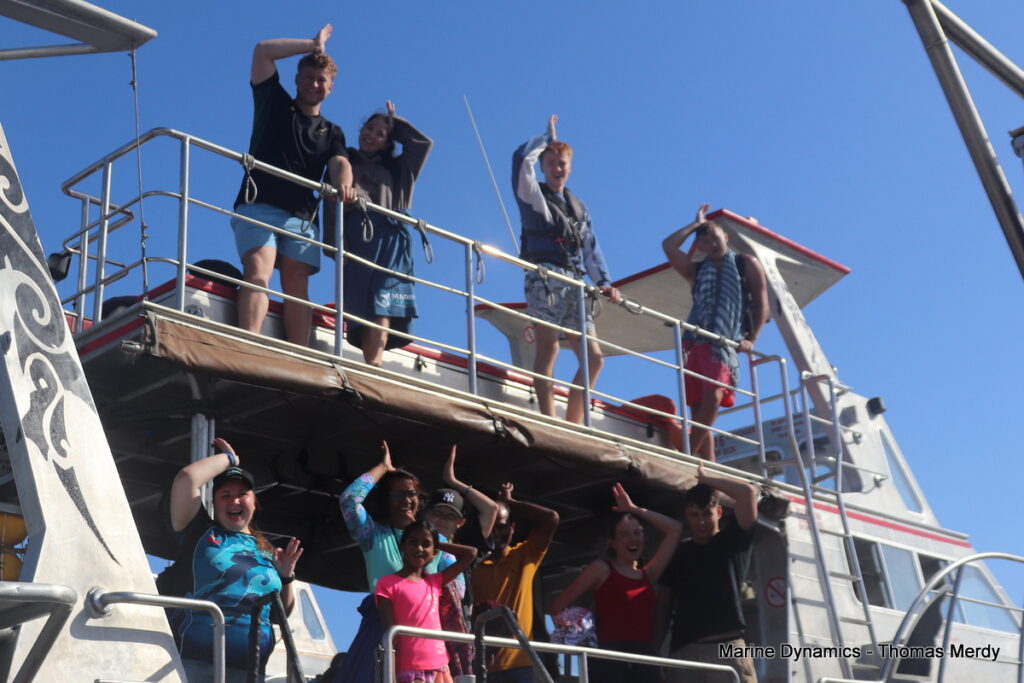 Shark cage diving, Gansbaai