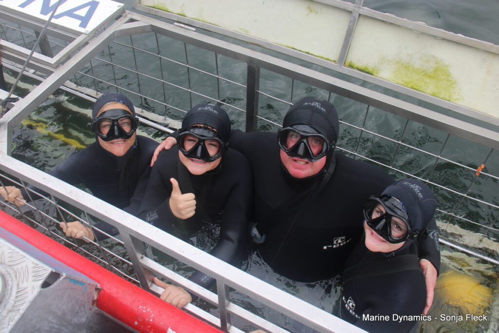 Shark cage diving, Gansbaai