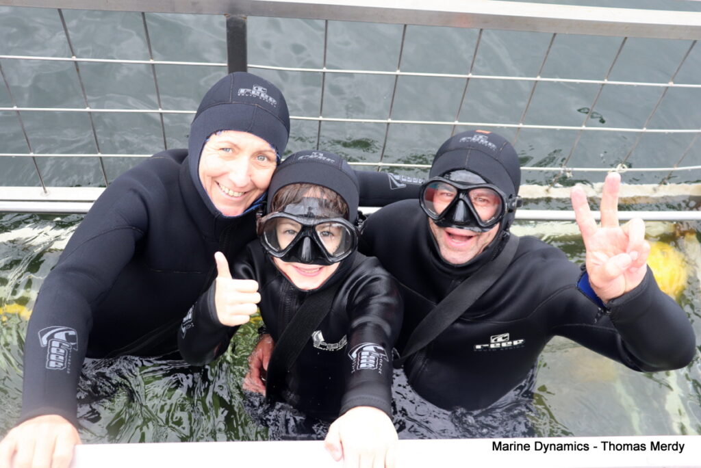 Shark cage diving, Gansbaai