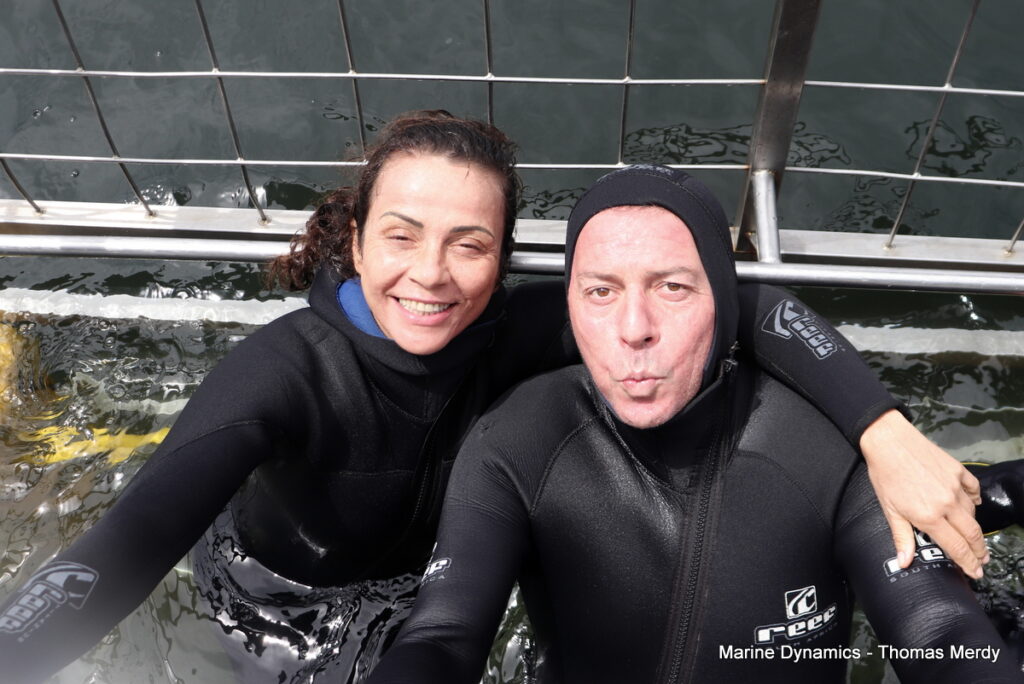 Shark cage diving, Gansbaai