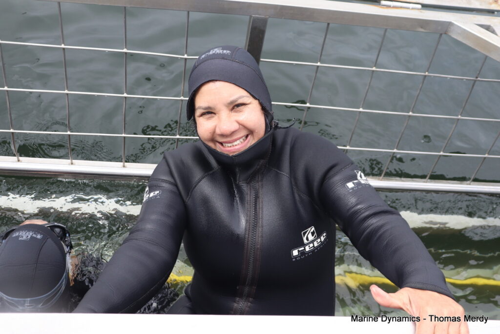 Shark cage diving, Gansbaai