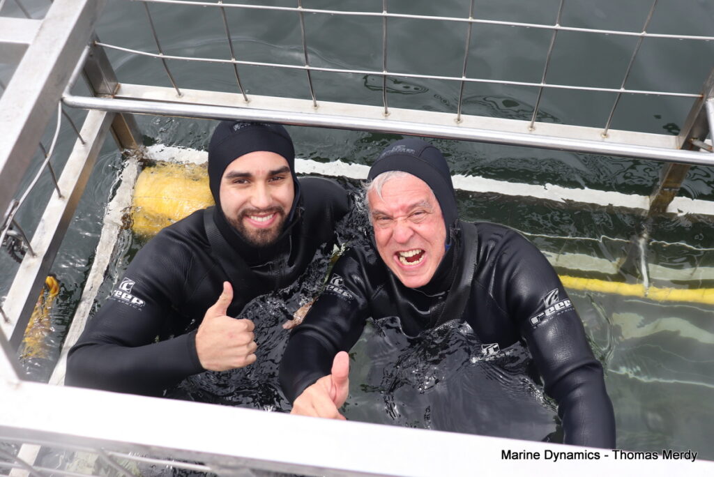 Shark cage diving, Gansbaai