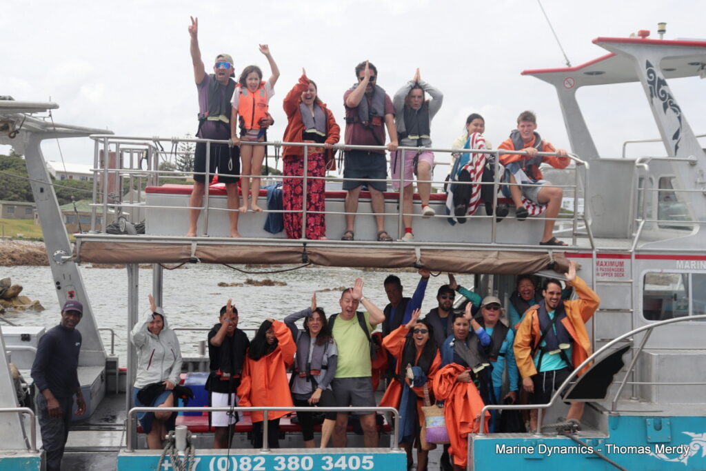 Shark cage diving, Gansbaai