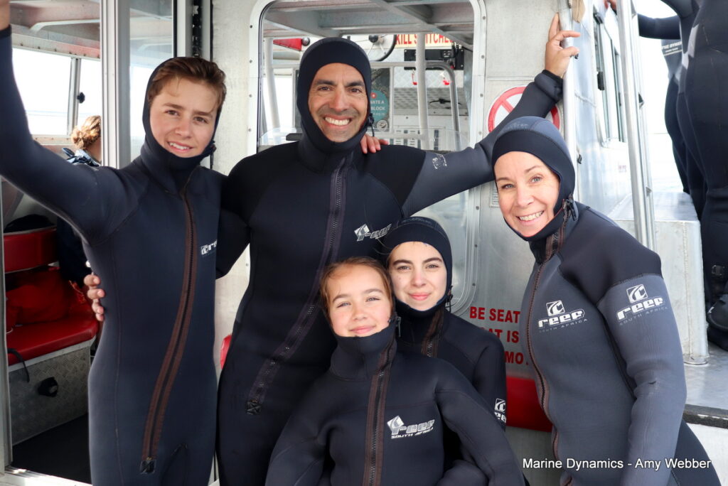 Shark cage diving, Gansbaai, South Africa