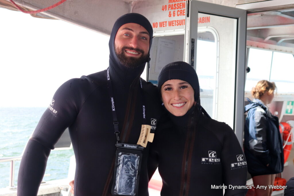 Shark cage diving, Gansbaai, South Africa