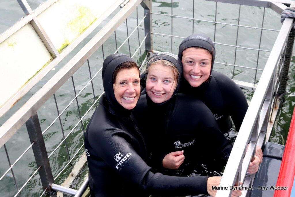Shark cage diving, Gansbaai, South Africa
