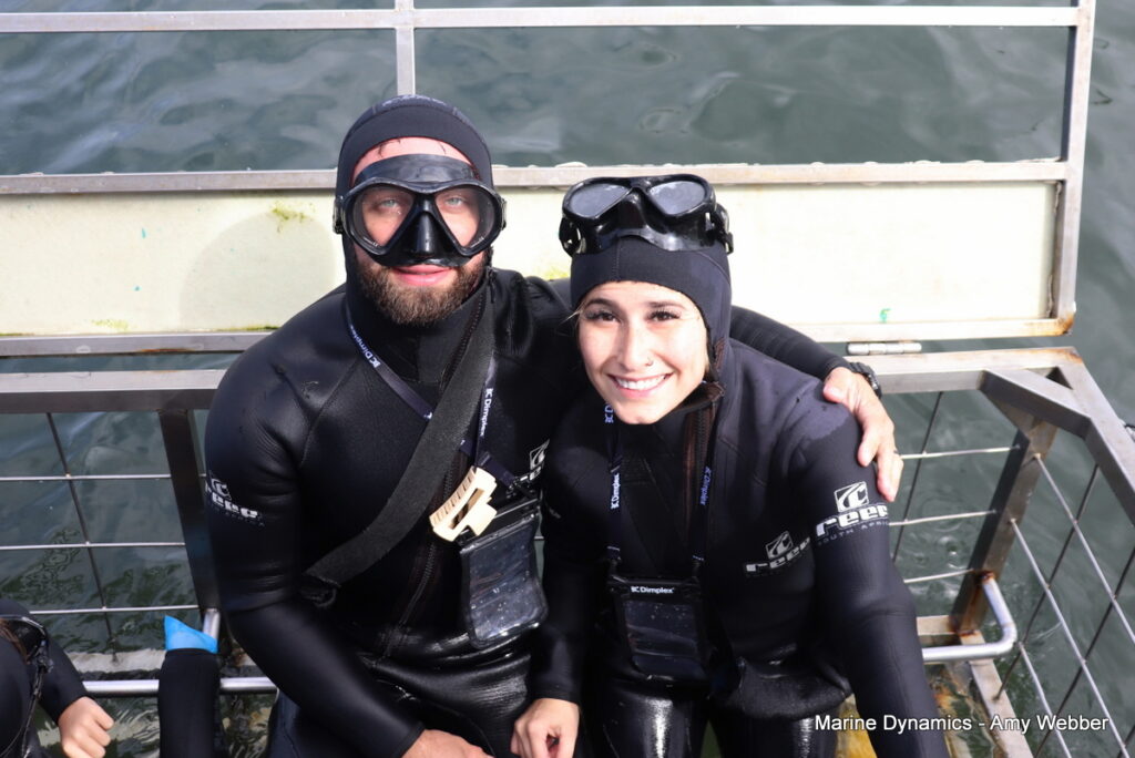 Shark cage diving, Gansbaai, South Africa
