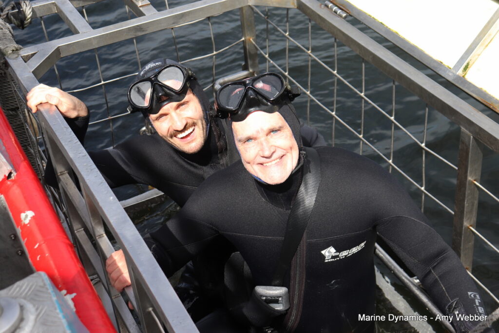 Shark cage diving, Gansbaai, South Africa