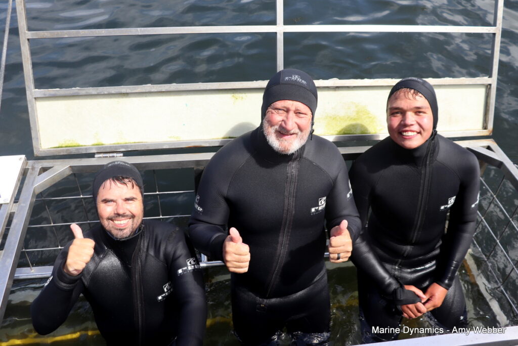 Shark cage diving, Gansbaai, South Africa