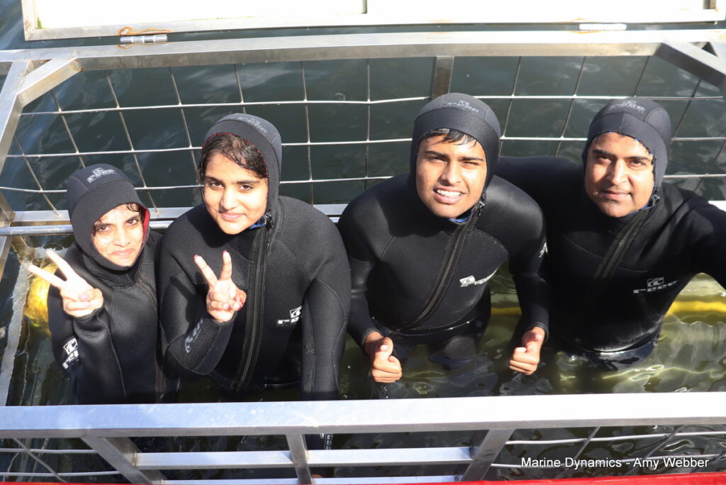 Shark cage diving, Gansbaai, South Africa