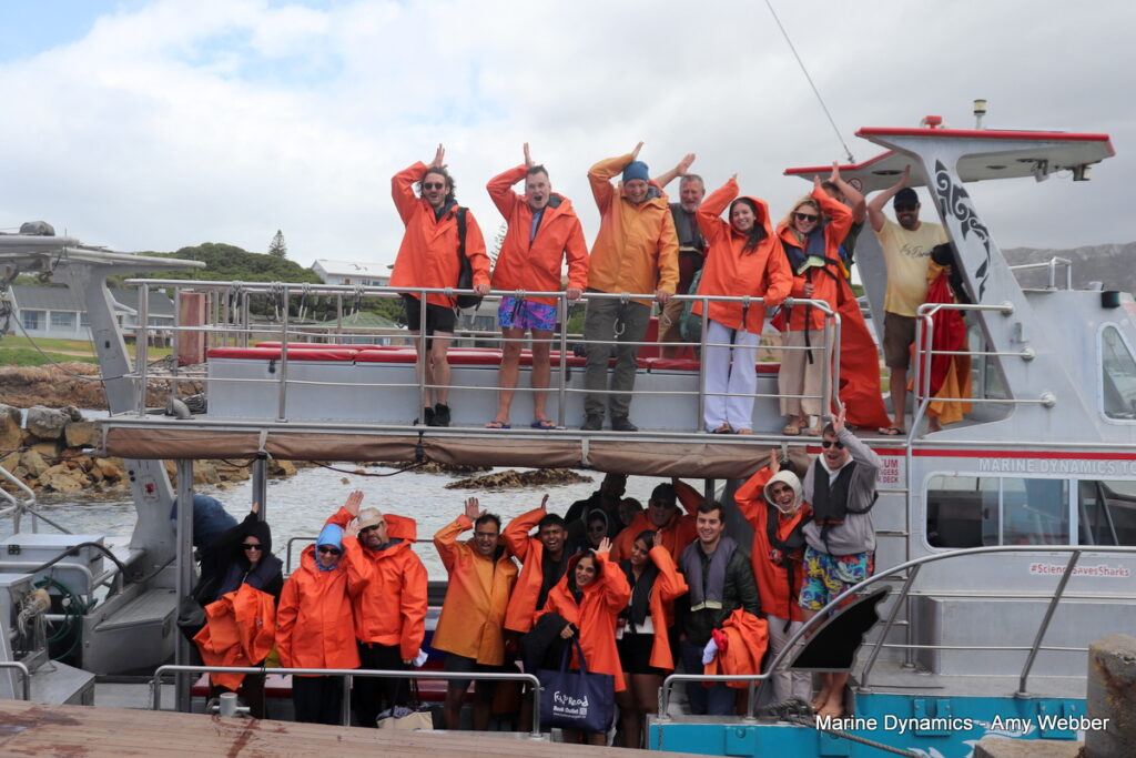 Shark cage diving, Gansbaai, South Africa