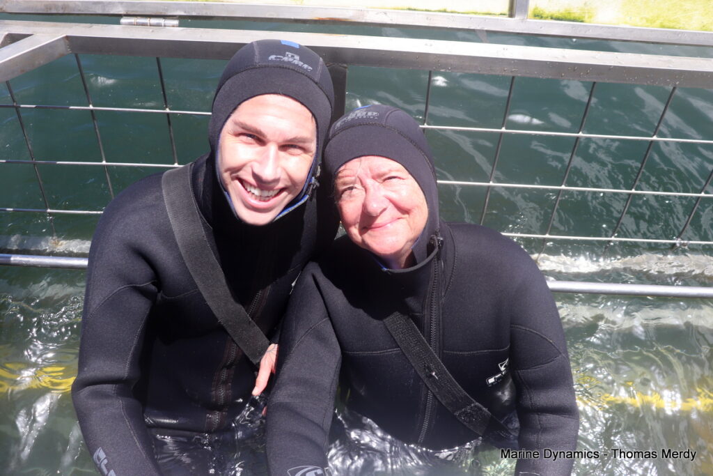 Shark cage diving, South Africa, Gansbaai