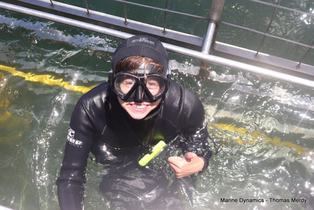 Shark cage diving, South Africa, Gansbaai