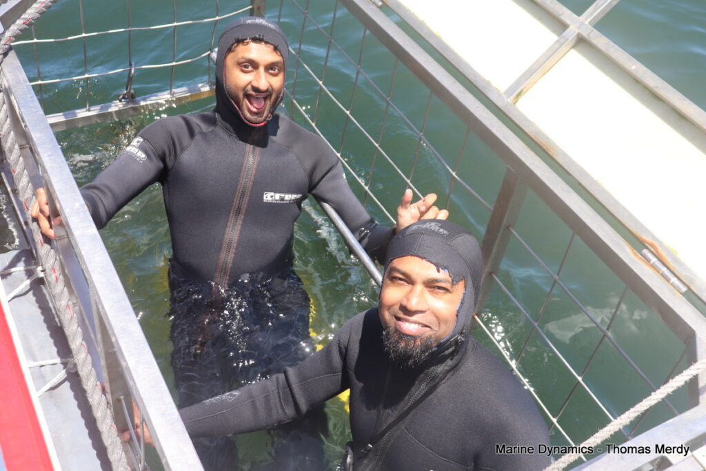 Shark cage diving, South Africa, Gansbaai