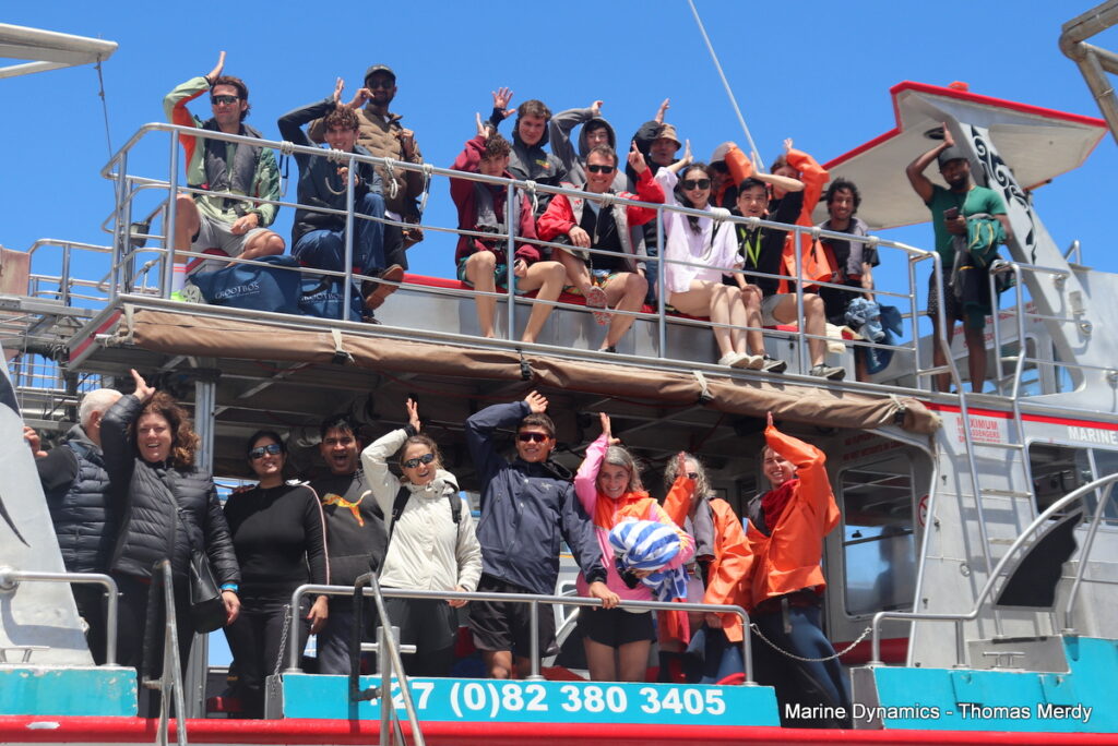 Shark cage diving, South Africa, Gansbaai