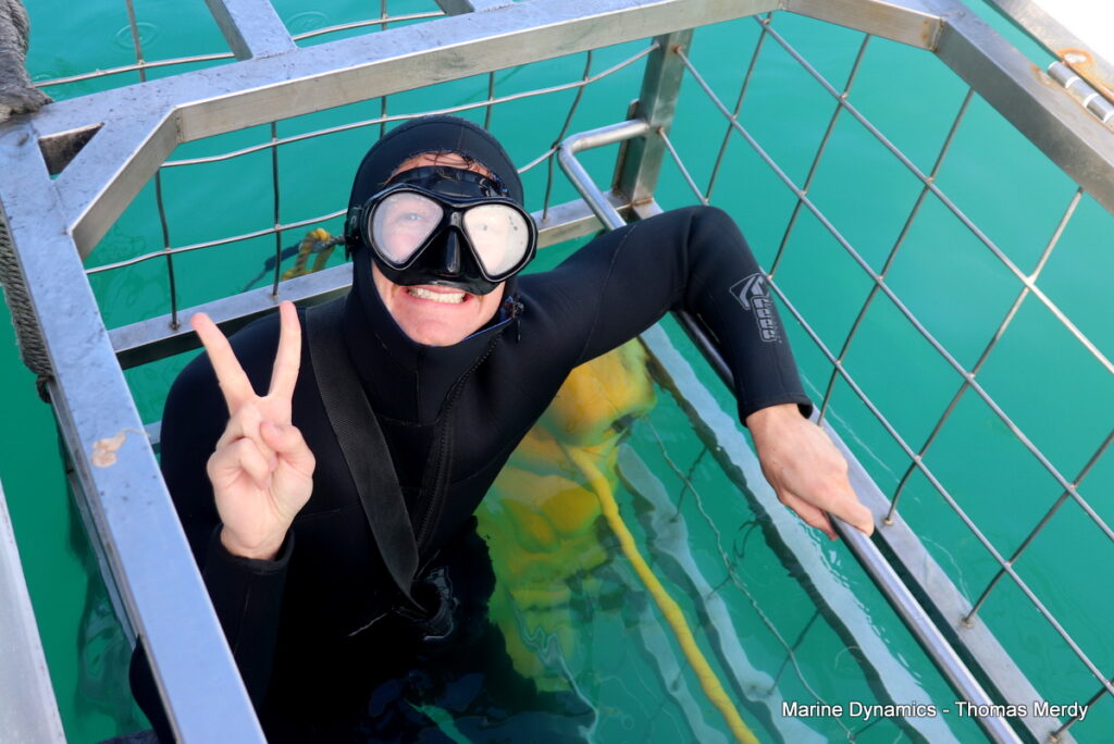 Shark cage diving, South Africa, Gansbaai