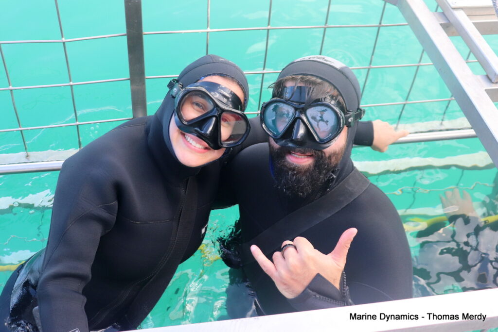Shark cage diving, South Africa, Gansbaai