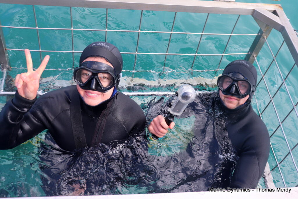 Shark cage diving, South Africa, Gansbaai