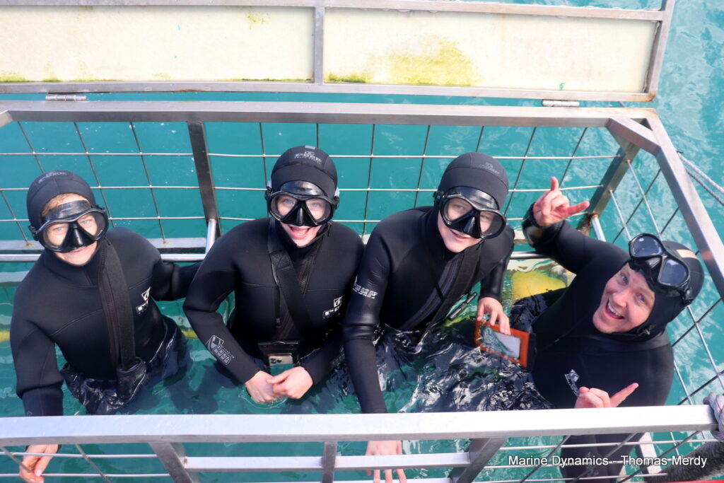 Shark cage diving, South Africa, Gansbaai