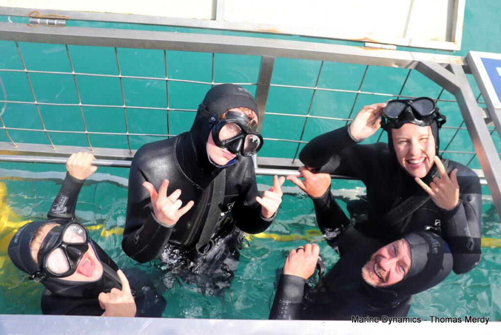 Shark cage diving, South Africa, Gansbaai