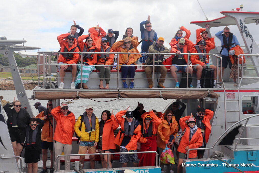 Shark cage diving, South Africa, Gansbaai