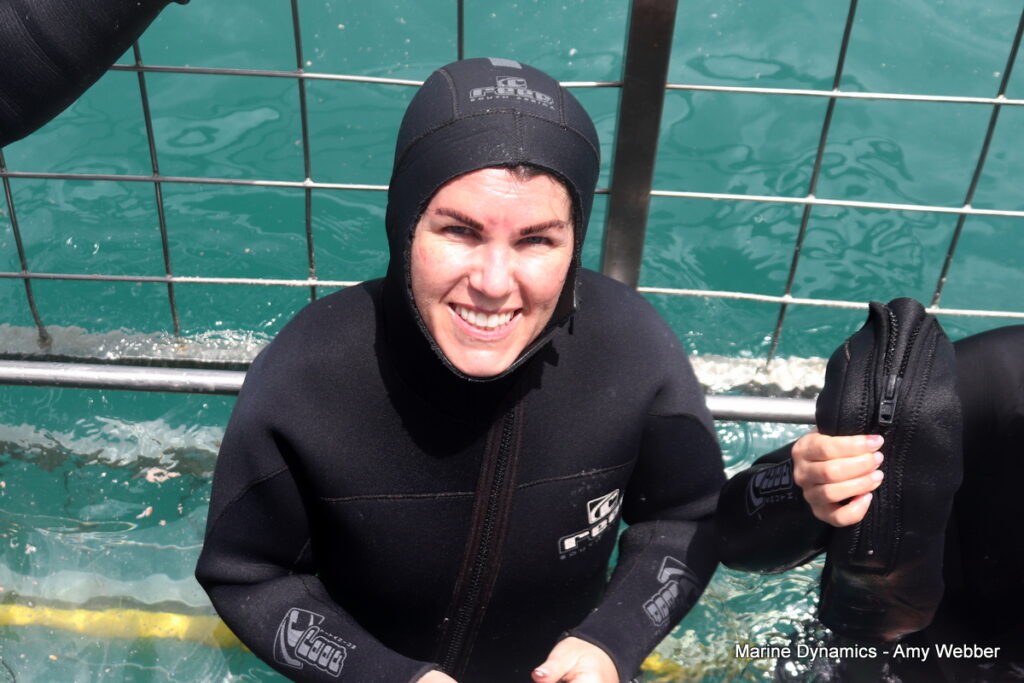 Shark cage diving, Gansbaai, South Africa