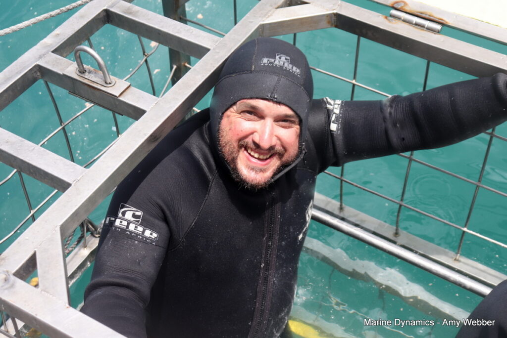 Shark cage diving, Gansbaai, South Africa