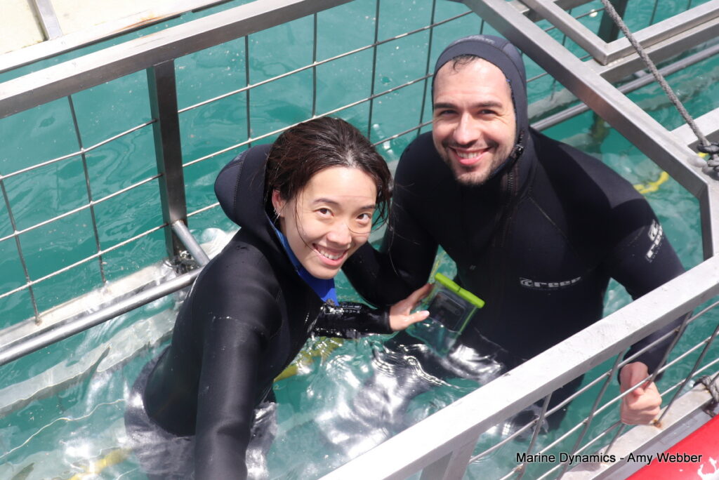Shark cage diving, Gansbaai, South Africa