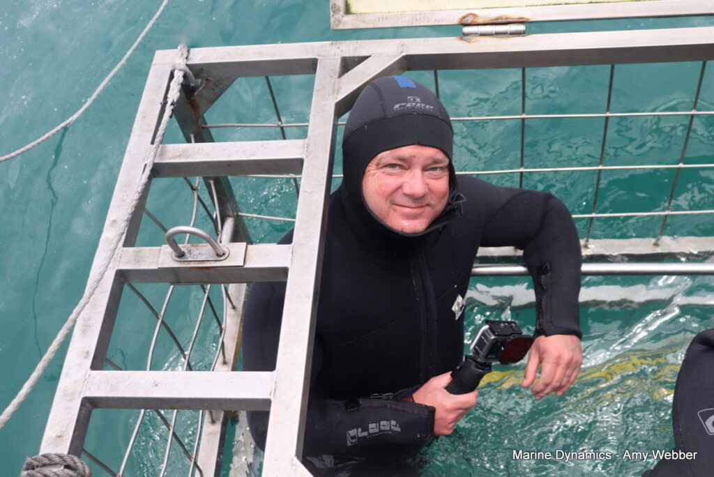 Shark cage diving, Gansbaai, South Africa