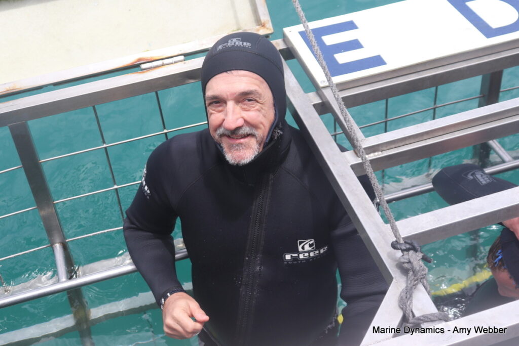 Shark cage diving, Gansbaai, South Africa