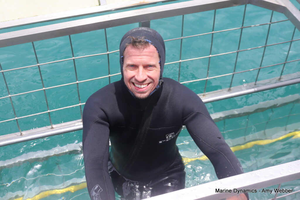 Shark cage diving, Gansbaai, South Africa
