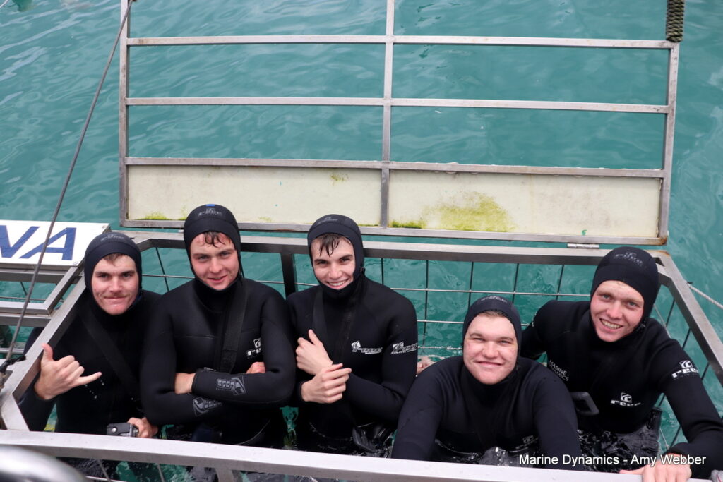 Shark cage diving, Gansbaai, South Africa