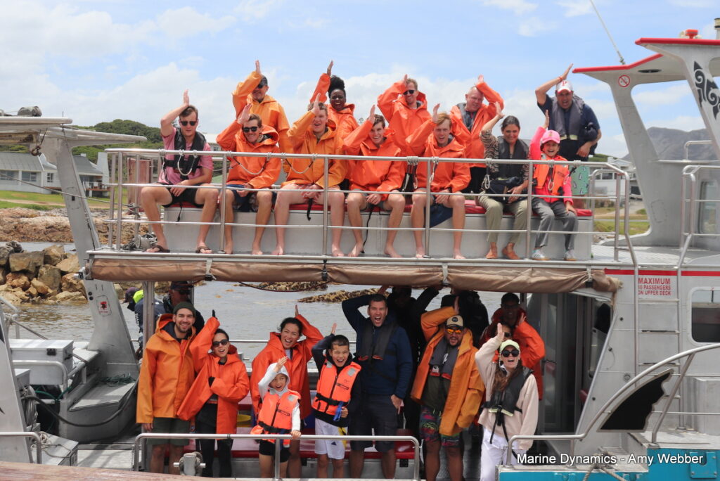 Shark cage diving, Gansbaai, South Africa