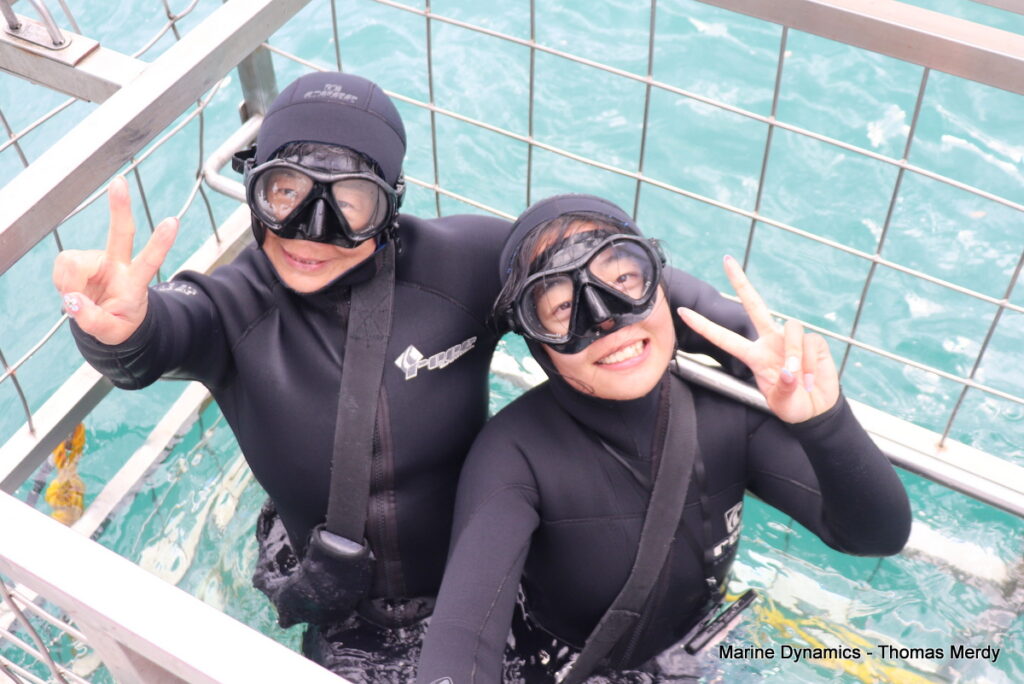 Shark cage diving, South Africa, Gansbaai