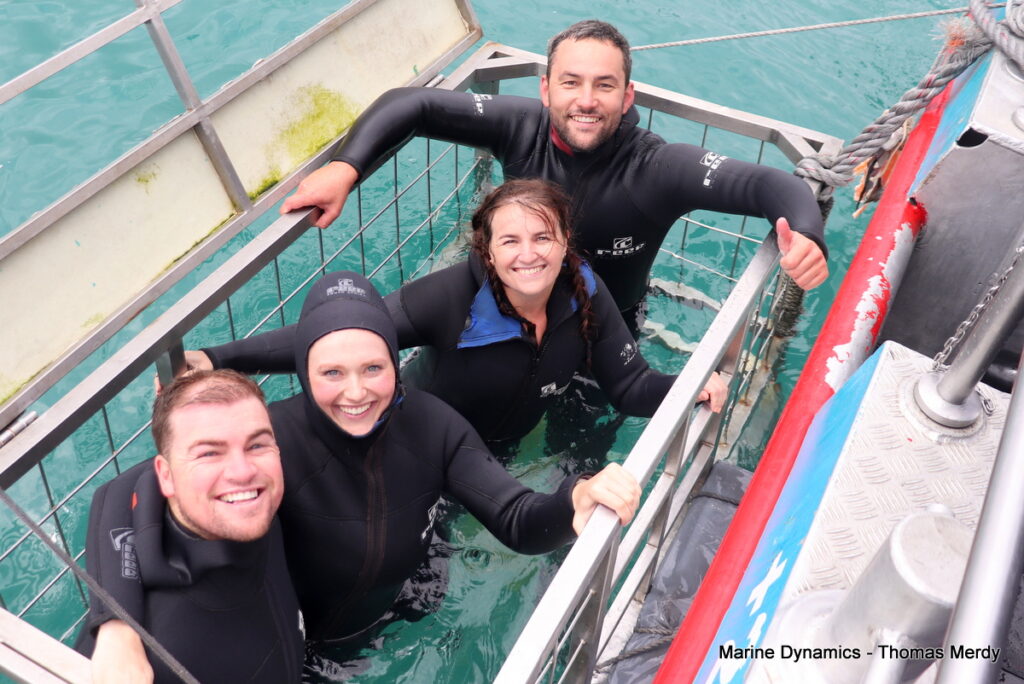 Shark cage diving, South Africa, Gansbaai