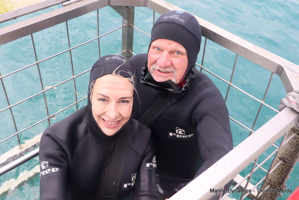 Shark cage diving, South Africa, Gansbaai