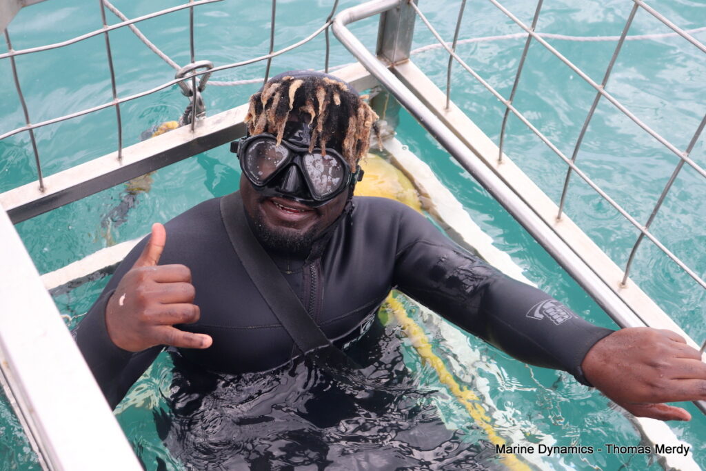 Shark cage diving, South Africa, Gansbaai