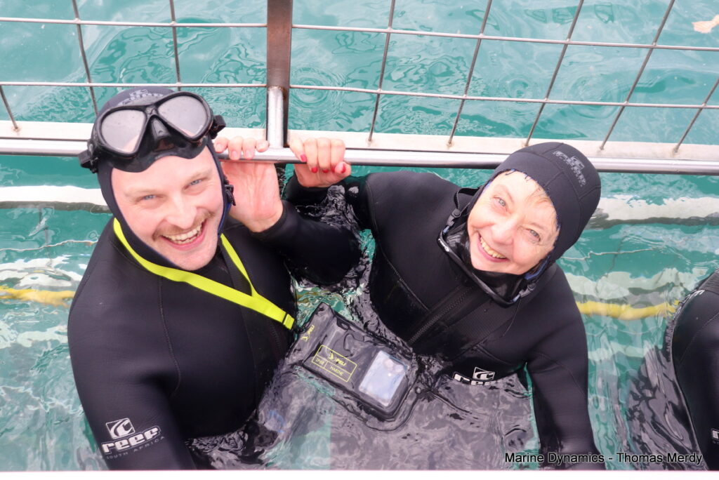 Shark cage diving, South Africa, Gansbaai