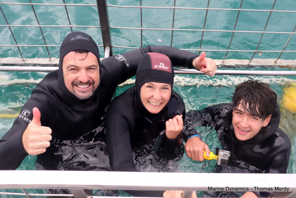 Shark cage diving, South Africa, Gansbaai