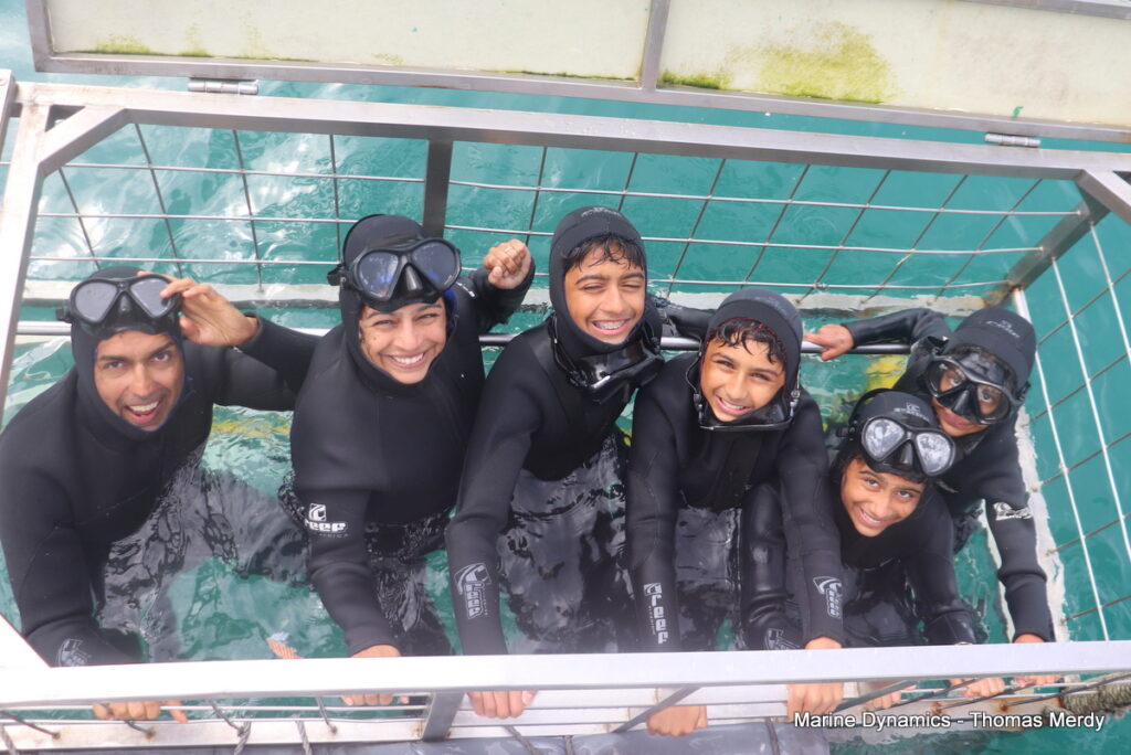 Shark cage diving, South Africa, Gansbaai