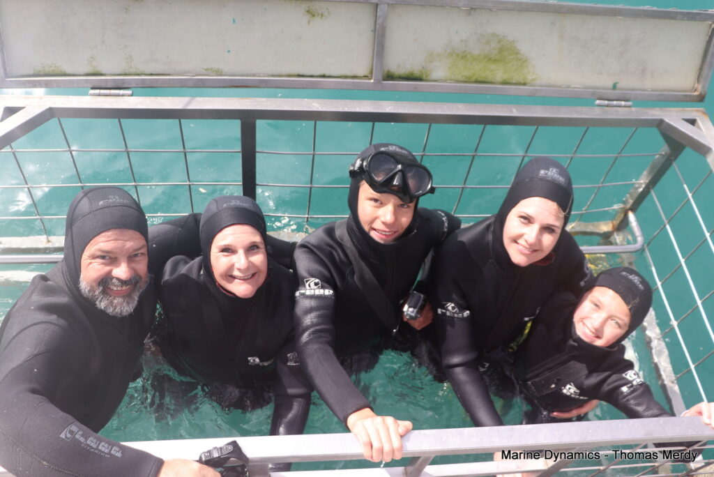 Shark cage diving, South Africa, Gansbaai
