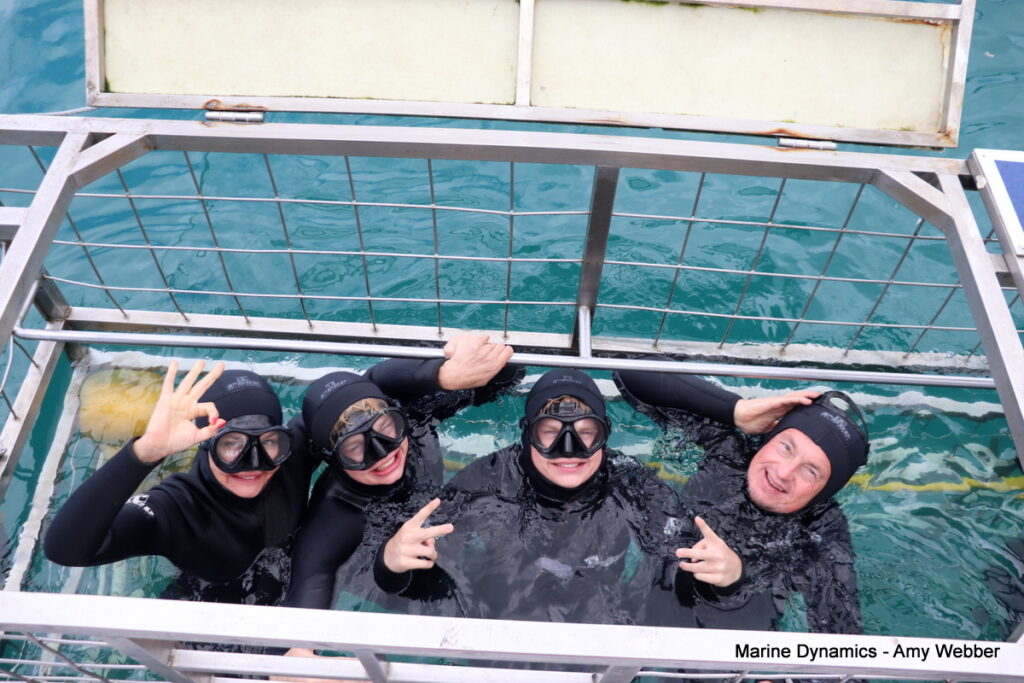 Shark cage diving, Gansbaai, South Africa