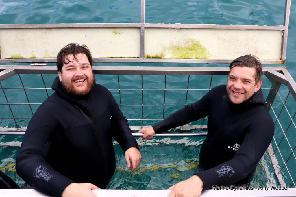 Shark cage diving, Gansbaai, South Africa