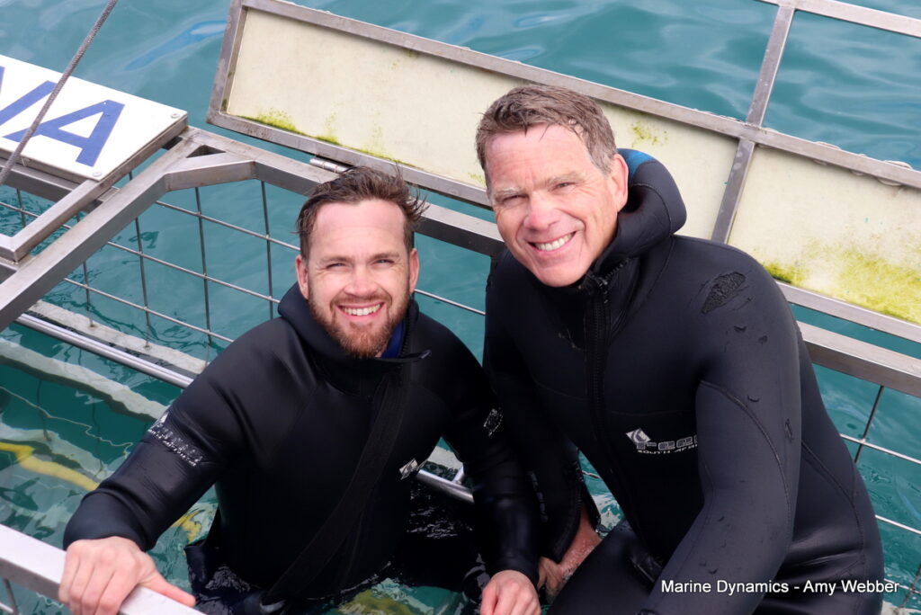 Shark cage diving, Gansbaai, South Africa