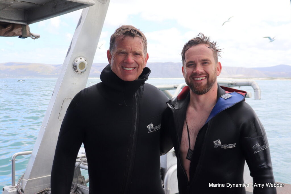 Shark cage diving, Gansbaai, South Africa