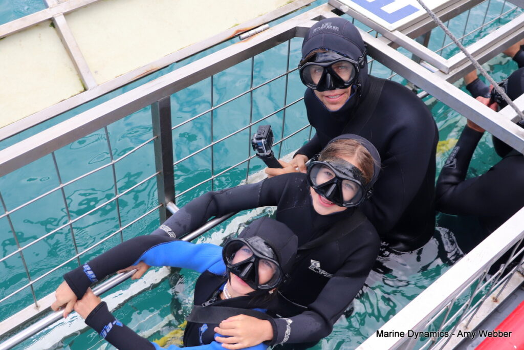 Shark cage diving, Gansbaai, South Africa